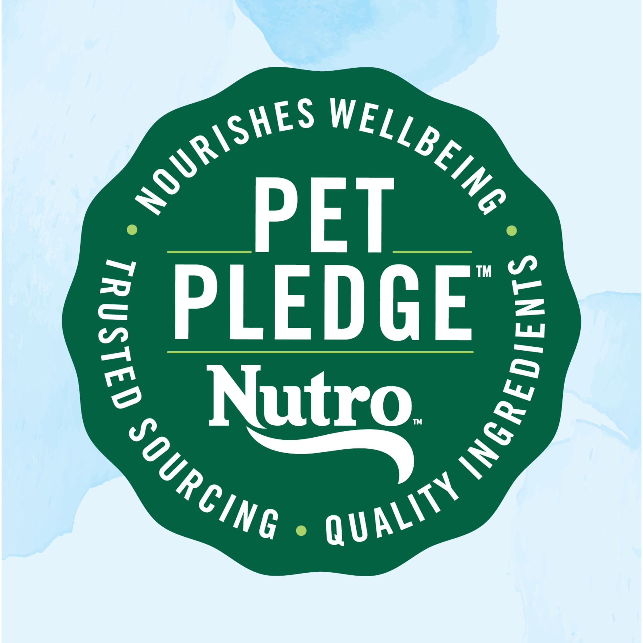 Nutro Limited Ingredient Diet Adult Dry Dog Food, Lamb & Sweet Potato Recipe, 22 lbs.