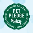 thumbnail image 3 of Nutro Limited Ingredient Diet Adult Dry Dog Food, Lamb & Sweet Potato Recipe, 4 lbs., 3 of 12