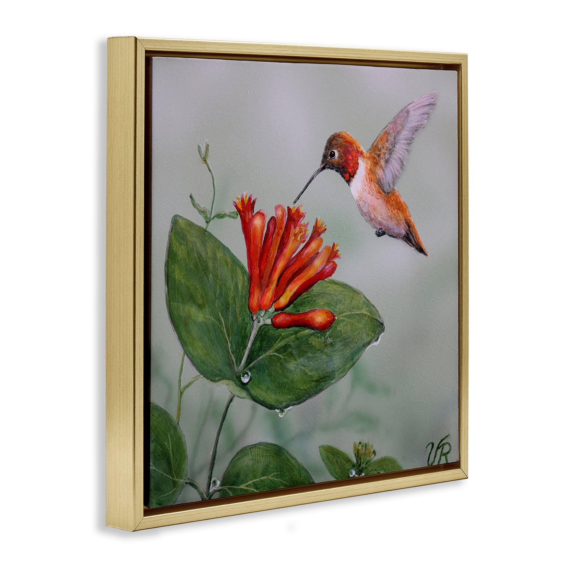 Stupell Industries Red Hummingbird & Flower Animals Painting Gold Floater Framed Canvas Art Print Wall Art, 18 x 18