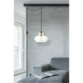 thumbnail image 6 of Destry 1 Light brass plug-in Pendant With Clear Glass, 6 of 6