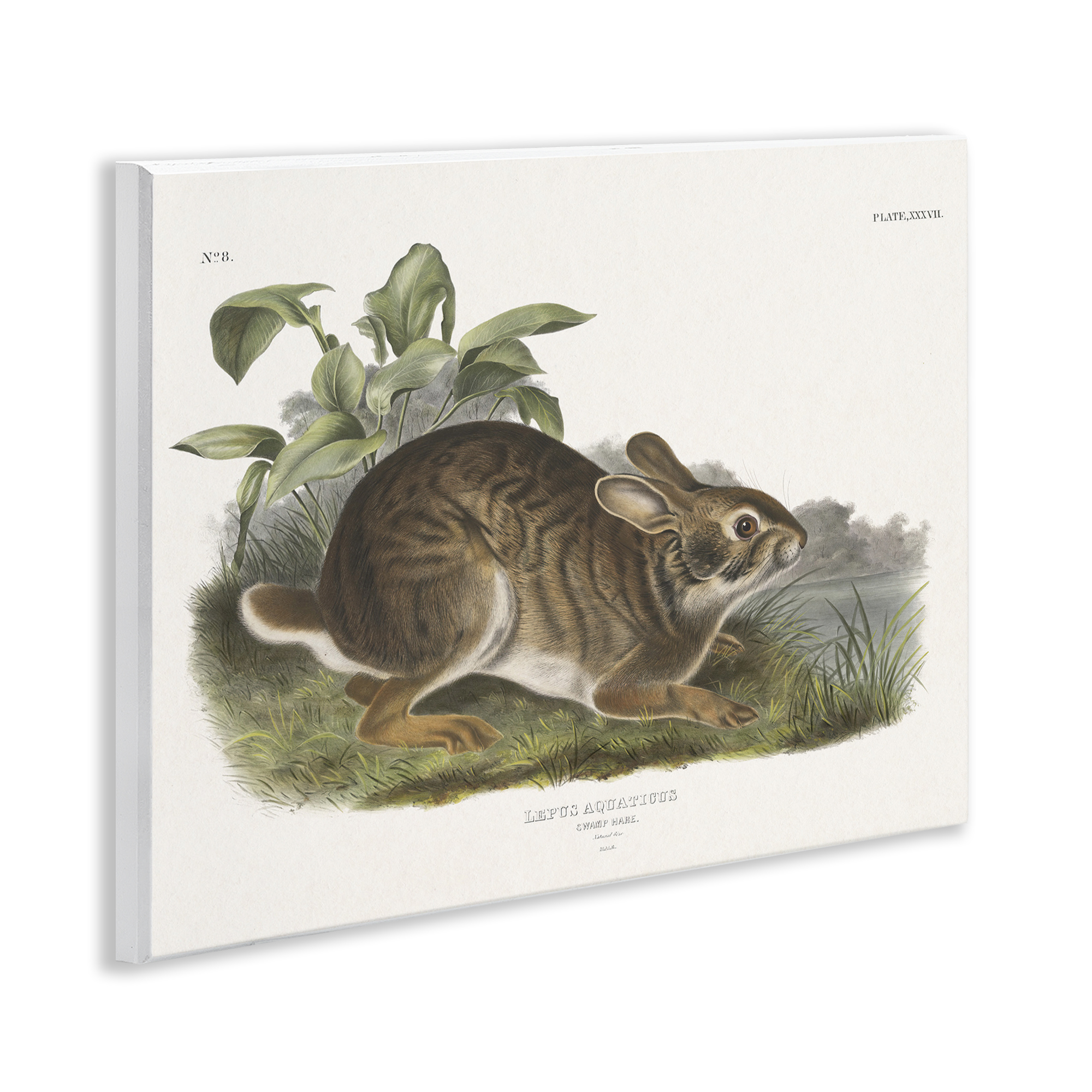 Stupell Industries Vintage Cottage Hare Animals & Insects Painting Unframed Art Print Wall Art, 14 x 11