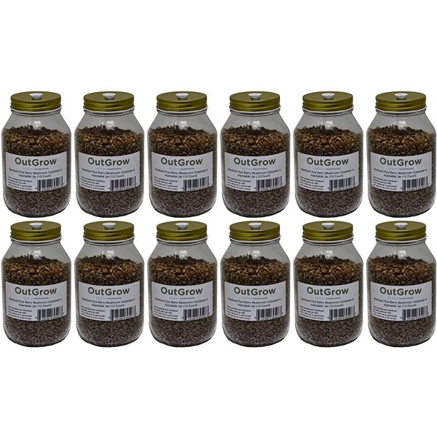 Sterilized Rye Berry Mushroom Substrate in Injectable Jar 12 jars