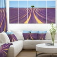 thumbnail image 1 of Lonely Uphill Tree in Lavender Field - Oversized Landscape Wall Art Print, 1 of 3
