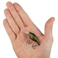 thumbnail image 2 of Berkley Money Badger, 4, Ghost Green Craw, 2 of 11