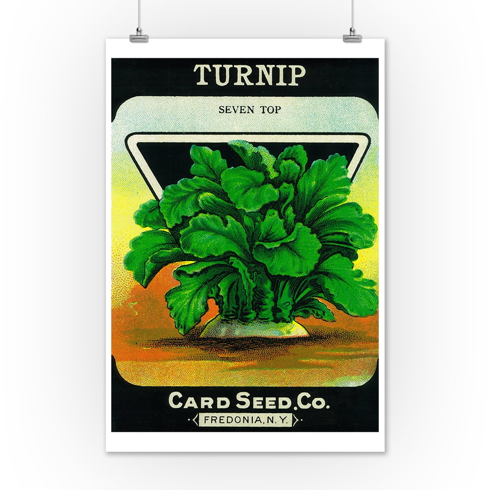 Turnip Seed Packet (12x18 Art Print, Wall Decor Travel Poster