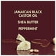 thumbnail image 5 of Shampoo SheaMoisture Aceite de ricino negro jamaicano, 384 ml, paquete de 4, 5 of 9