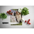 thumbnail image 2 of Caroline's Treasures PPP3029LCB Border Collie Patrol Glass Cutting Board Large, 12H x 16W, multicolor, 2 of 2