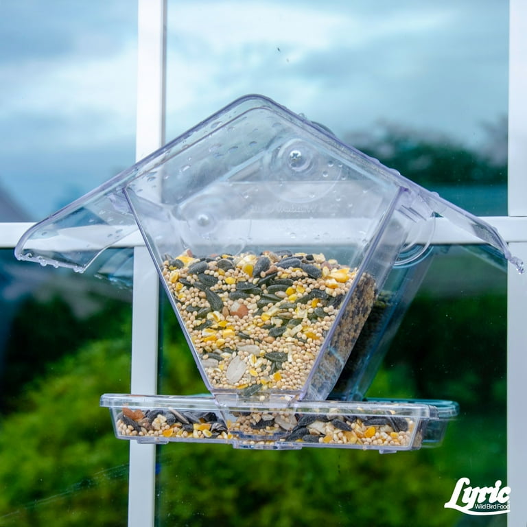Lyric Delite Wild Bird Seed- No Waste Bird Food Mix Ready-to-use Nut Bird  Seed 20-lb at