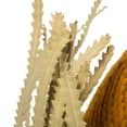 thumbnail image 4 of Vickerman 12" Aspen Gold Banksia Flower. Includes 25 Stems per Pack. Dried, 4 of 5