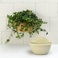 thumbnail image 6 of HOOWIFFY Indoor Hanging Basket Beige Homeowners Indoor Decoration 1Set, 6 of 8
