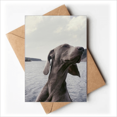 thumbnail image 1 of Dog Pet Animal Gray Picture Greeting Cards You are Invited Invitations, 1 of 3