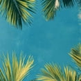 thumbnail image 6 of JEUXUS Palm Leaves with Lush Branches and Leaves Tropical Jungle Palm Leaves Table Cloth White, 6 of 8