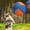 Orange, variant on Herding Ball for Dogs, Dual-Layer Herding Toy with Protective Cover, Durable Giant Dog Ball for Australian Shepherd, Border Collie for Outdoor Play 45cm