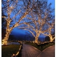 thumbnail image 4 of Luces mini LED en guirnalda Festive Living 100 blanco cálido 10,5 m, 4 of 8