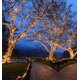 thumbnail image 4 of Luces mini LED en guirnalda Festive Living 100 blanco cálido 10,5 m, 4 of 8