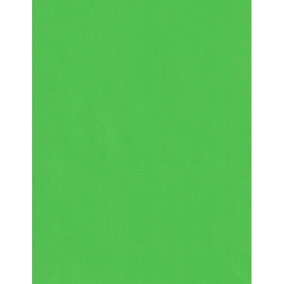 Cardstock Warehouse Lessebo Kelly Green - 8.5 x 11 inch 100 lb. Cardstock Paper - 25 Sheets