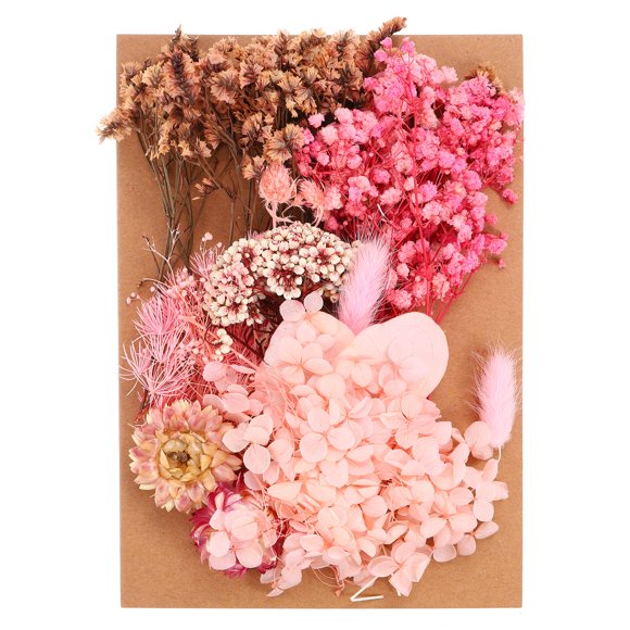 Unique Bargains Fleurs Séchées Naturelles Multiples Colorées Véritables Fleurs Pressées Séchées Plante Diverses Couleurs