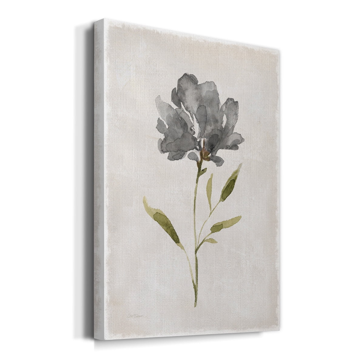 Botanical Beauty II Premium Gallery Wrapped Canvas - Ready to Hang