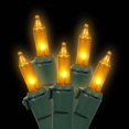 thumbnail image 2 of Vickerman Vickerman 50 Gold Mini Light on Green Wire 23' Christmas Light Strand -W5G0507, 2 of 2