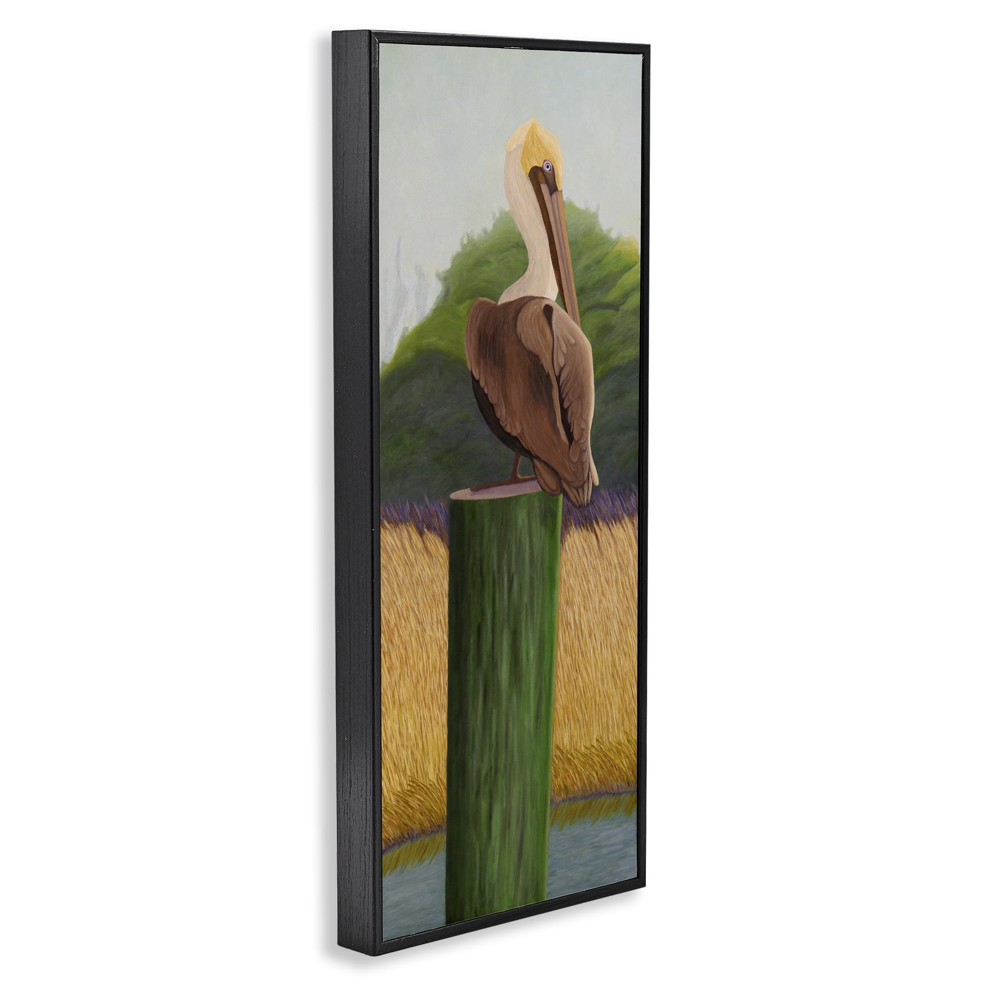 Stupell Industries Pelican with Blue Eyes Black Framed Giclee Art, design by Barbara Fallenbaum