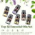 thumbnail image 3 of Set de aceites esenciales Aeshory, kit de aromaterapia de 12 x 5 ml, 3 of 7