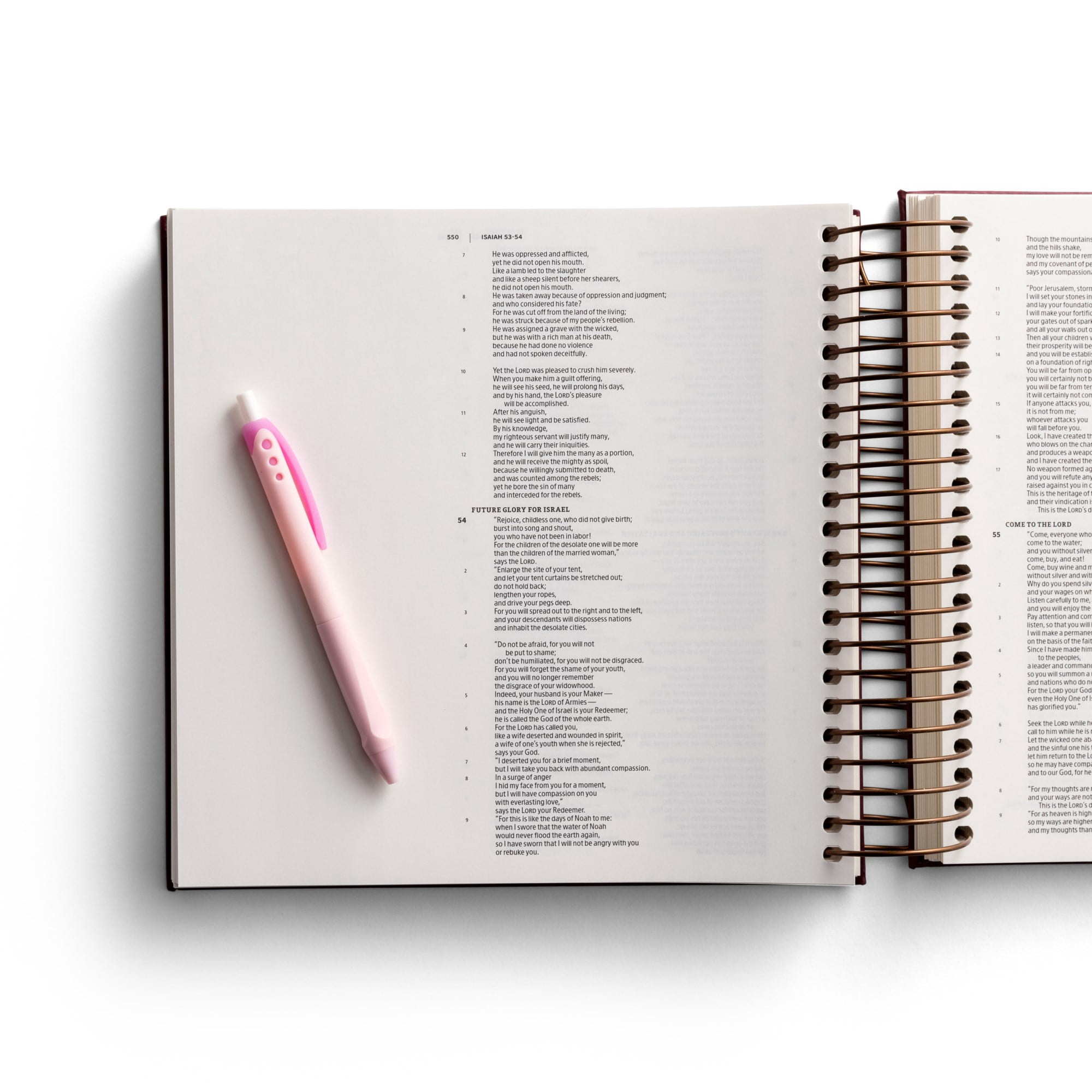 Illustrating Bible CSB - Spiral Bound Bible Journal, Cranberry, (Spiral-Bound)