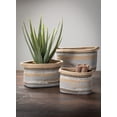 thumbnail image 6 of Sullivans Artificial Potted Aloe 24"H Green, 6 of 6