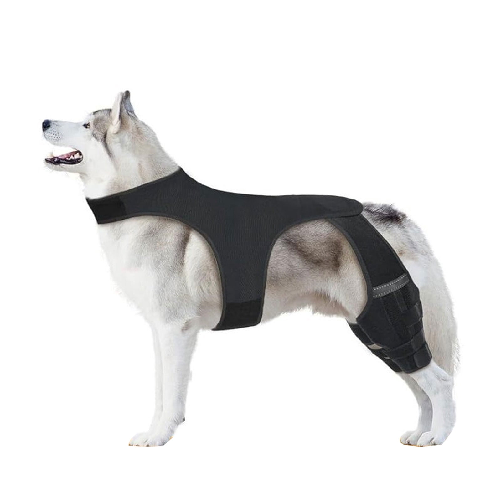 Dog Knee Brace Back Leg Joints Protectors Elastic Neoprene Leg Sleeve With Adjustable Belt For Elderly Dog Health Joint