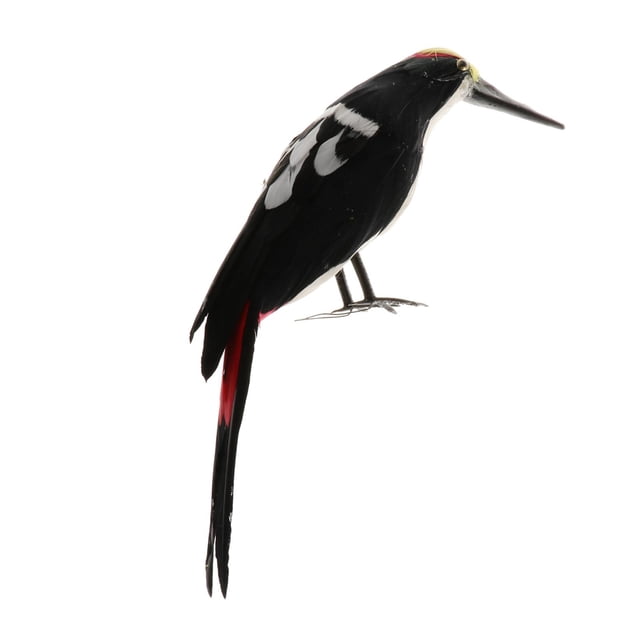 Pájaro carpintero de simulación, modelo animal, arreglos florales, figura de pájaro realista, accesorio de artificial para el jardín del hogar.