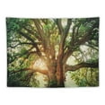 thumbnail image 5 of PRATYUS  Tapestries Wall Tapestry for Bedroom Decoration Nature Forest Tapestry Tree Tapestry Landscape Tapestry Dark Green Tapestry Decor Poster, Multi Size Painting, 5 of 6