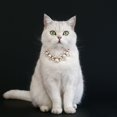 Elodia Rhinestone Pendant Pet Collar Fashionable Gold Chain Cats Dogs