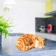 thumbnail image 4 of Imitation Velvet Model Decoration Sleeping Table Decoration Home Decoration Stall, 4 of 6