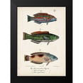 thumbnail image 2 of Vision Studio 11x14 Black Modern Framed Museum Art Print Titled - Antique Fish Trio I, 2 of 5