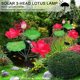 thumbnail image 1 of 2 paquetes de luces decorativas de flores LED solares con 3 flores para decoración exterior FLhrweasw Nuevo, 1 of 8