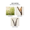 thumbnail image 4 of Candle NEST New York Driftwood & Manzanilla, 240 ml, paquete de 2, 4 of 7