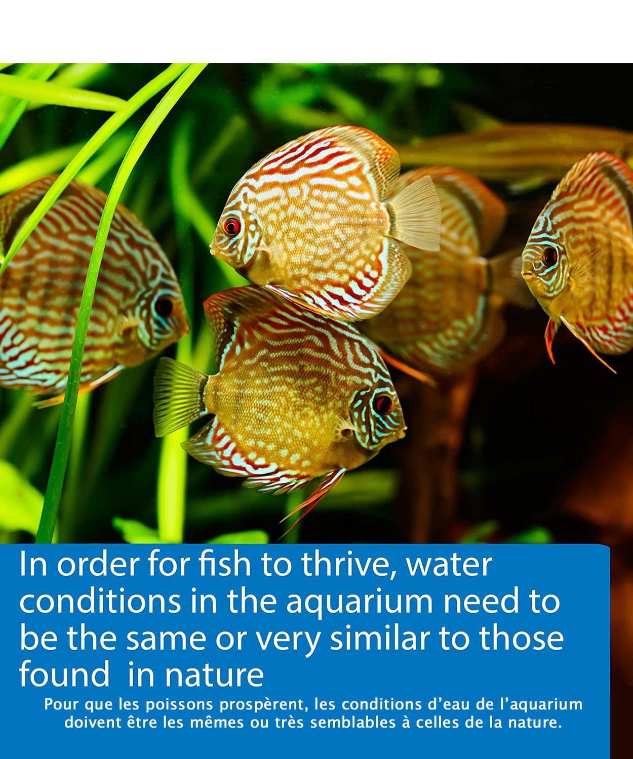 API 5-in-1 Aquatic Test Strips, 100ct