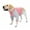 Pink, variant on BT Bear Dog Elbow Protector Shirt, Dog Leg Recovery Suit for Prevent Licking Wound, Dog Shirt with Mesh Pad for Small Medium Large Dogs Black S