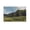 Unframe-style, variant on Ivan Shishkin Print Painting Meadow at The Forest Edge. Siverskaya Artworks Picture Print Poster Wall Art Painting Canvas Gift Decor Home Posters Decorative 12x18inch(30x45cm)