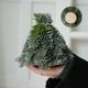 thumbnail image 1 of Adorno Navideño de Plástico Portátil | Mini Decoración Navideña Verde de 18 Cm | Ramas Realistas, Duraderas y Ligeras, Ideal Como Adorno para Escritorio | Regalo de Temporada Reutilizable para El Hog, 1 of 6