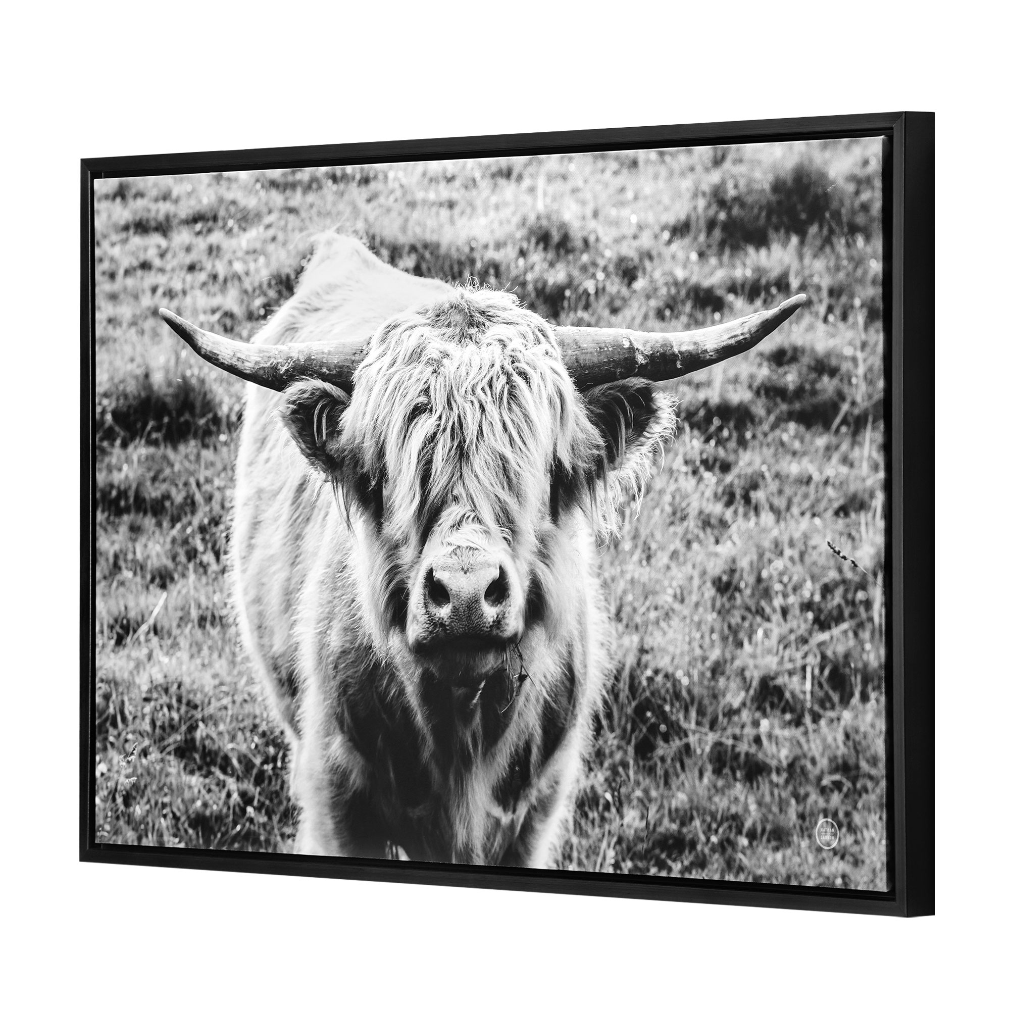 Crystal Art Gallery Highland Cow Framed Digital Print Size 36"x24" by Wild Apple
