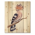 thumbnail image 3 of Designart 'Ancient Hoopoe Bird On A Branch' Traditional Print on Natural Pine Wood, 3 of 5