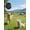 Black, variant on Smart Anti-Lost Device, compatible with Apple's "Find My Device", global locator, pet electronic product anti-loss location tracker