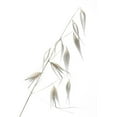 thumbnail image 3 of Lagandre 11x14 Black Modern Framed Museum Art Print Titled - Reed Delicacy, 3 of 5
