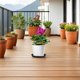 thumbnail image 1 of COSMOBETTY 4Ud Circular Para Macetas De Plástico Negro Para Plantas Interiores Y Suculentas, 1 of 8