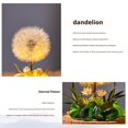 thumbnail image 3 of Natural Dandelion Real Dried Flower and Preserved Grass Eternal Flower Glass Cover, 3 of 5