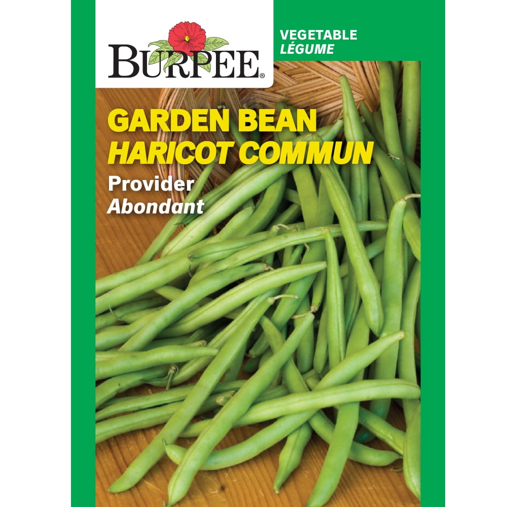 Burpee Provider Garden Bean, Plant Seeds for Home Garden