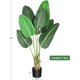 thumbnail image 1 of 60/48-pulgada artificial faux banana leaf plant con pot - 5-foot artificial upright plant featuring 8 trunks para home o oficina greenery decor - 48 pulgadas, 1 of 6
