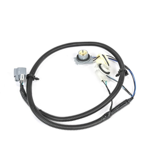 Tail Light Harness