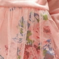 thumbnail image 4 of MEZZALL Toddler Kids Baby Girls Floral Print Mesh Clothes T Shirt Tops Dress Pants 2PCS Outfits Set, 4 of 5