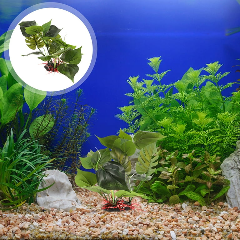 Goldfish Tank Decorations